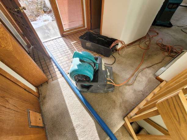 Water damage restoration mold remediation in Chapel Hill, NC